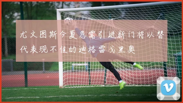 尤文图斯今夏急需引进新门将以替代表现不佳的迪格雷戈里奥