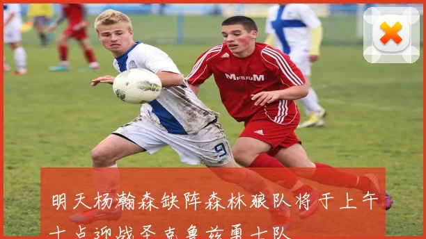 明天杨瀚森缺阵森林狼队将于上午十点迎战圣克鲁兹勇士队