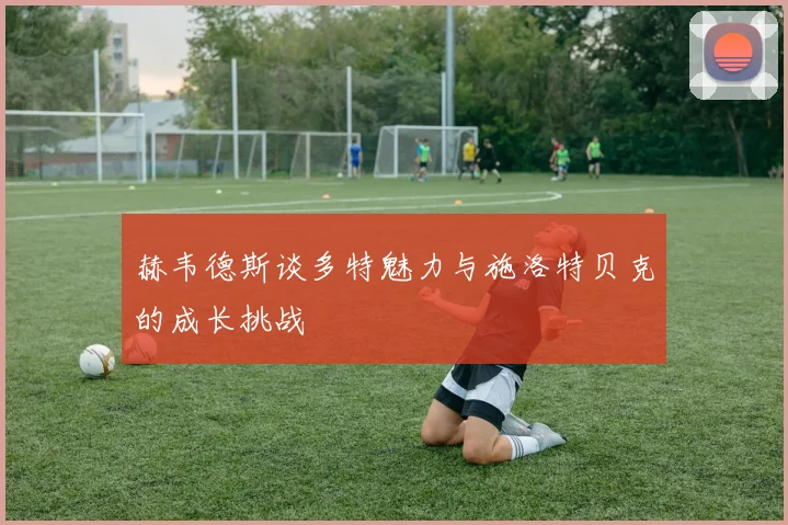 赫韦德斯谈多特魅力与施洛特贝克的成长挑战