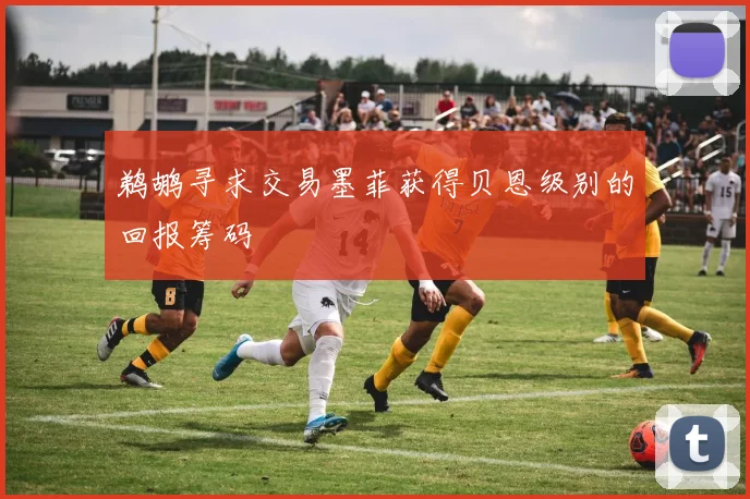 鹈鹕寻求交易墨菲获得贝恩级别的回报筹码